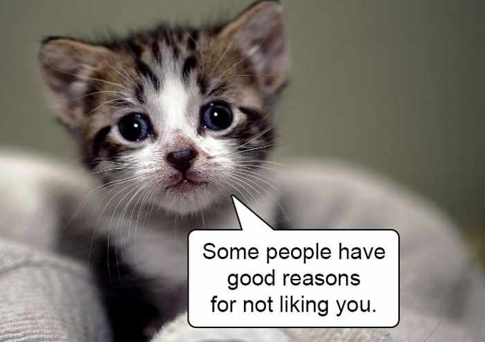 20 Hard Truths From Cats Will Amaze You -05