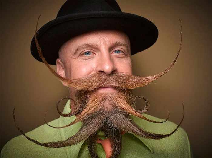 25 Most Epic Entries From 2016 National Beard And Moustache Competition -13