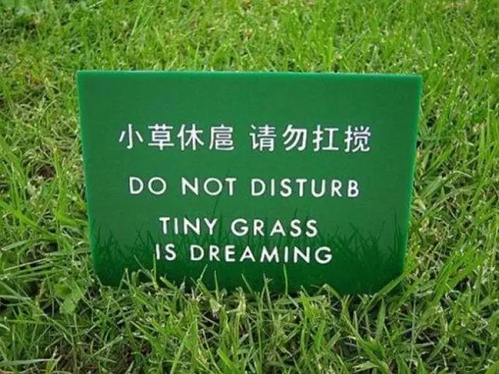 27 Translation Fails That Are Ridiculously Hilarious -26