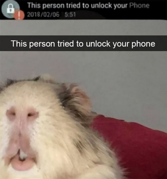 36 Hilarious Animal Snapchats Guaranteed To Make You LOL-02