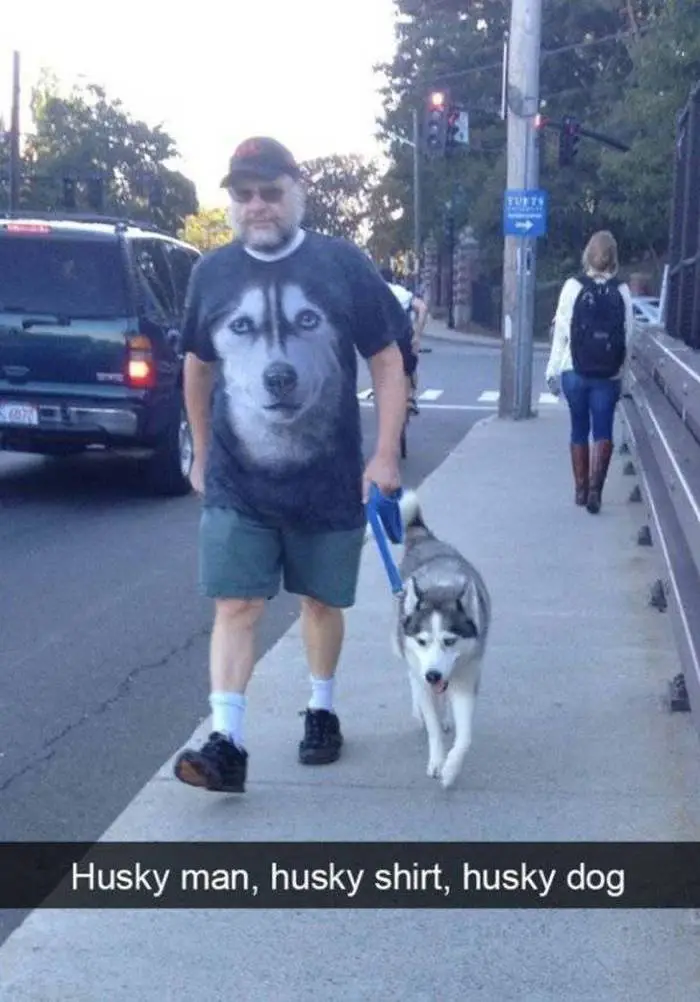 36 Funny Huskies That Are Cute And Stupid At The Same Time-24