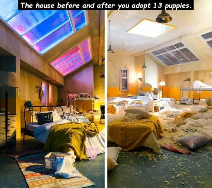 53 Photos That Showing Difference Will Shock You-36