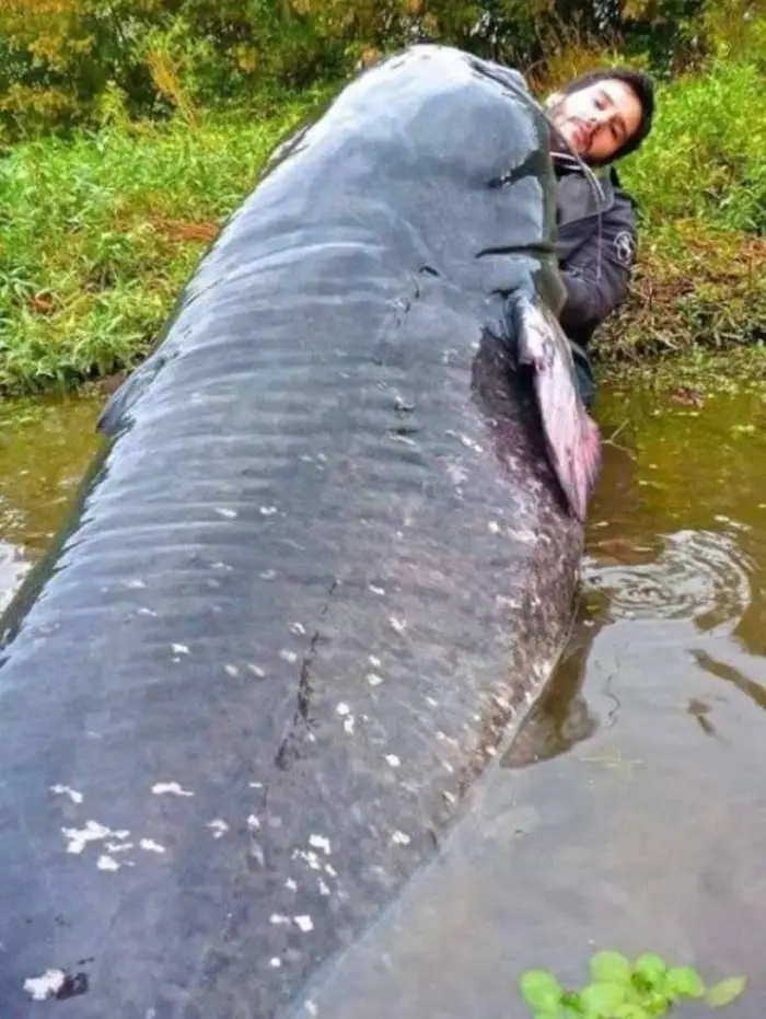35 Ridiculously Gigantic Things That Will Shock You-30