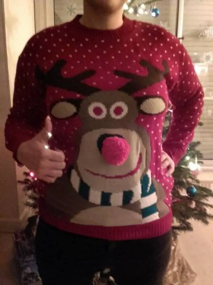 30+ Funniest Christmas Sweaters That You Don't Like To Wear-15