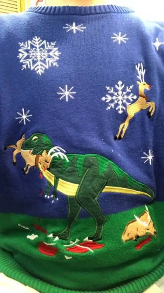 30+ Funniest Christmas Sweaters That You Don't Like To Wear-23