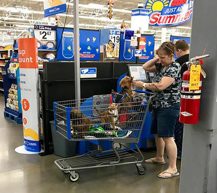 48 People Of Walmart That Will Make You LOL-39