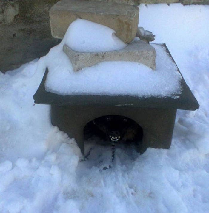40+ Funny Winter Photos That Will Shock You-07