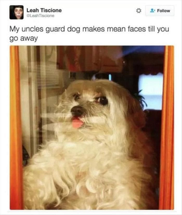 Funny Animal Pictures Of The Day Release 4 (72 Photos)-17