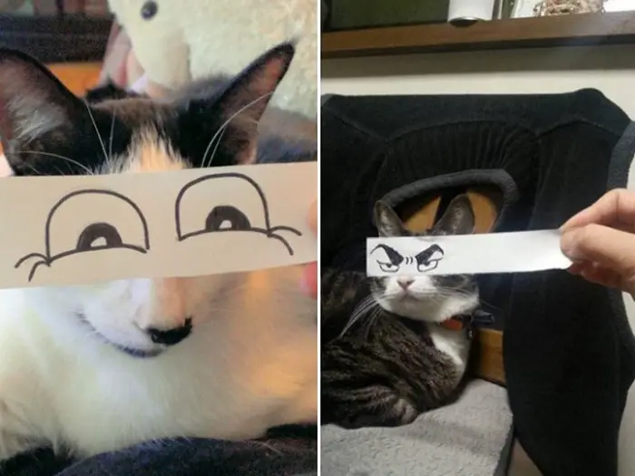 Cats With Cartoon Mouths And Eyes (19 Pics)-07