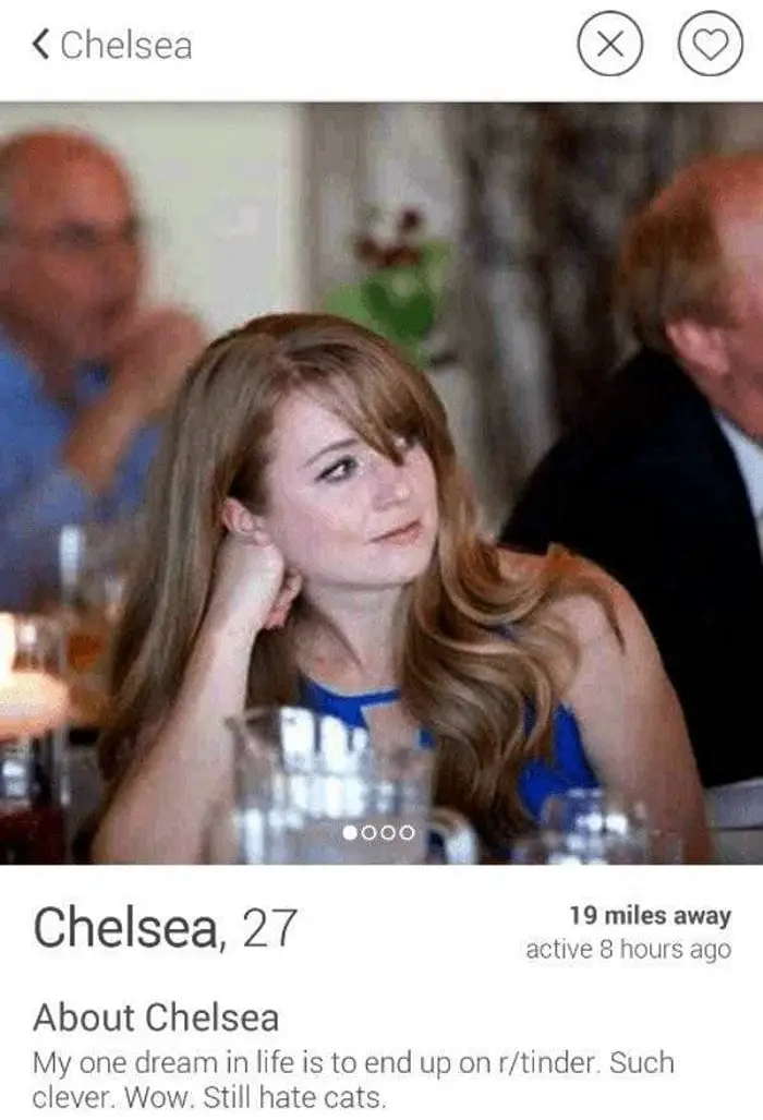 60+ Funny Tinder Profiles That Will Make You Look Again-27