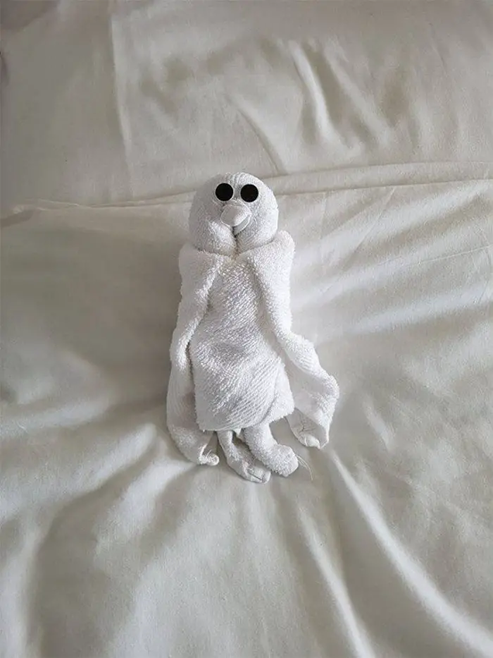 30 Best Folded Towel Art Images That Will Blow Your Mind-23