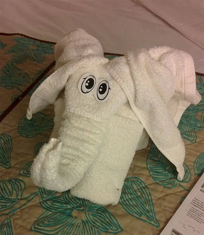 30 Best Folded Towel Art Images That Will Blow Your Mind-29